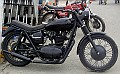 OldiesVet 081